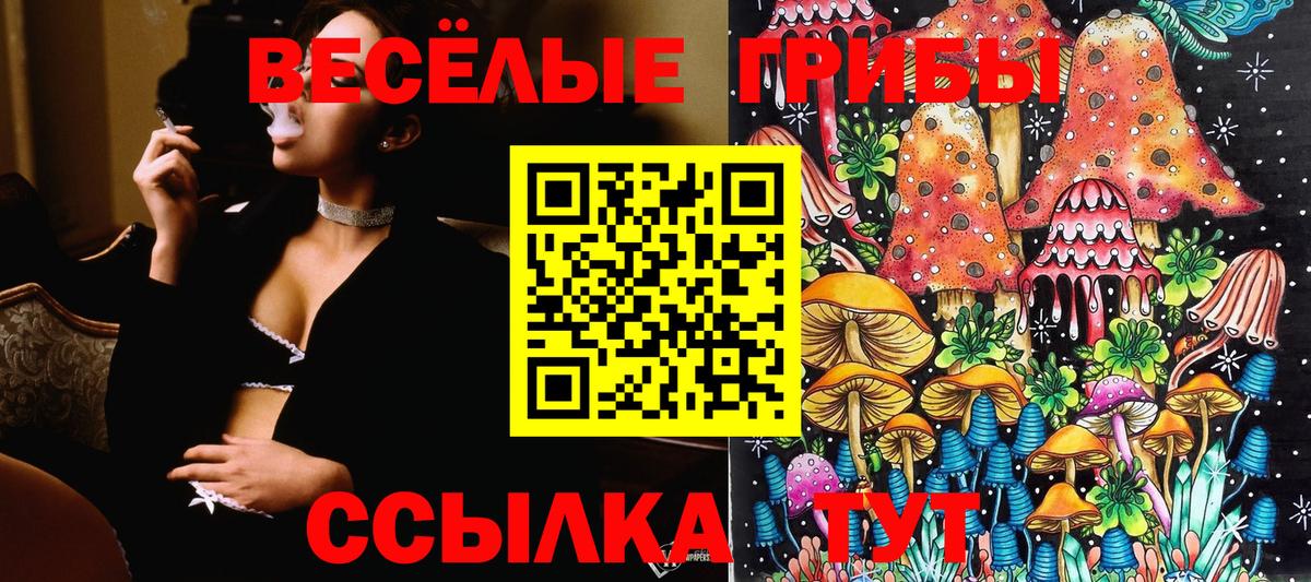 Губкинский  Галлюциногенные грибы Cubensis  Вход с VPN 
