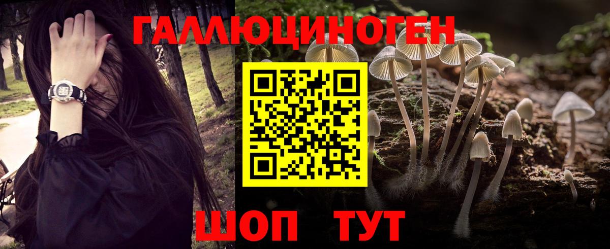 Галлюциногенные грибы Psilocybine cubensis Губкинский